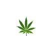 Legalize Cannabis Worldwide