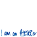 I am an AIESECer