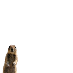 Squirrel in your Avatar