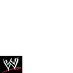 WWE supporters