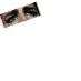 Adam Lambert