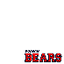 Bears 2010