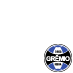 Grêmio FBPA