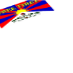 Free Tibet