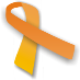 Leukemia & Lymphoma society