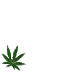 legalize it