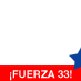 Fuerza Mineros