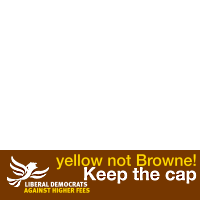 Lib Dems Vs Fees