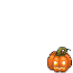 pumpkin!
