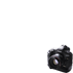 Canon Photographers