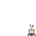 Bradford City AFC