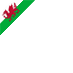 Welsh and proud!