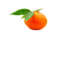 mikan