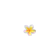 MindyPlumeria