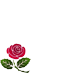 Remember SimonsFlower