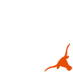Texas Longhorns!!