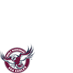 Go Sea Eagles!