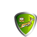 Springbok rugby