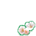 cherry blossom-2