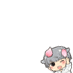 spring hamusensei