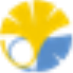 Todai