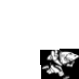 sharks rugby