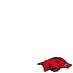 Arkansas Razorbacks #goHogs 